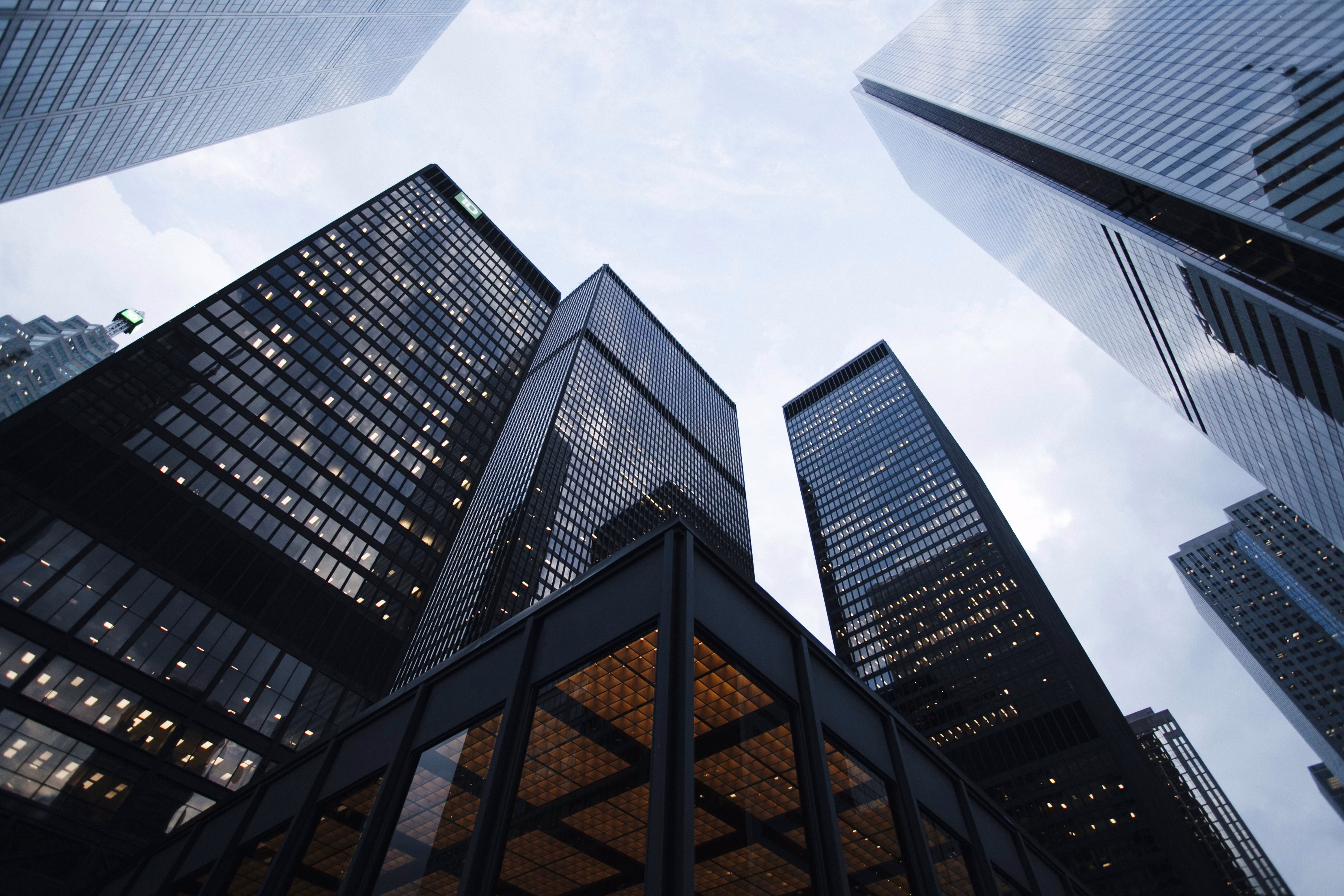 Modern glass skyscraper office building facade structural lines